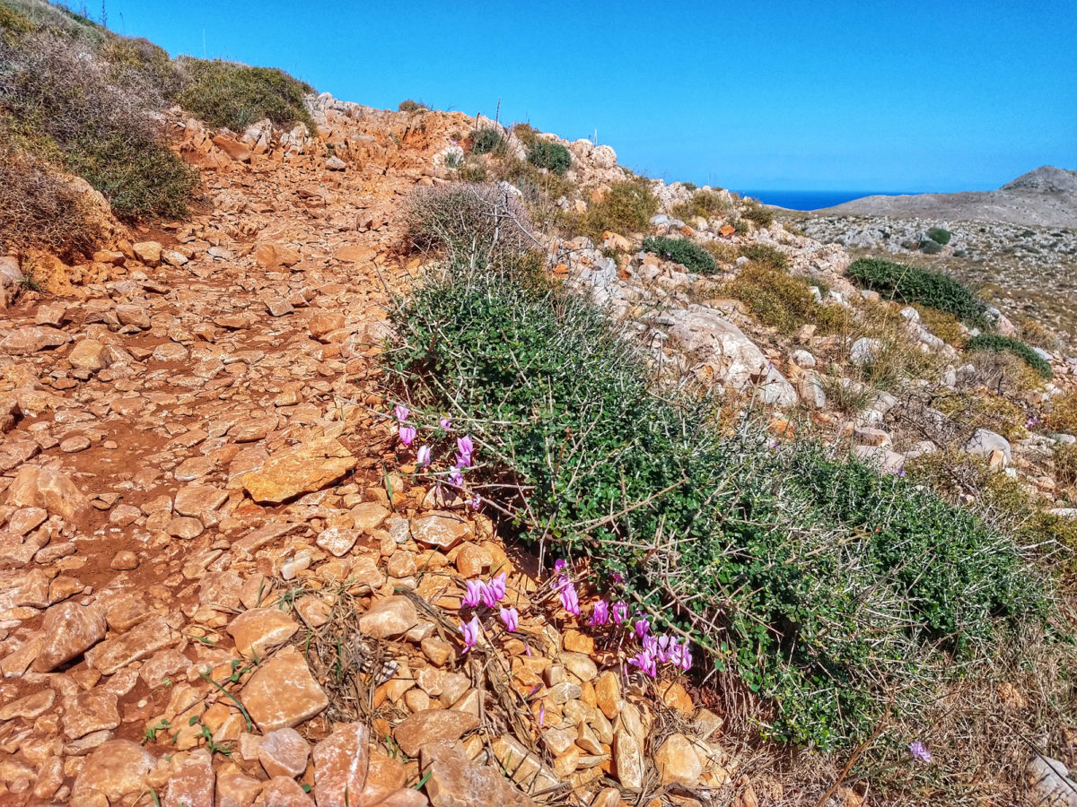 Der steinige Pfad zum Kap Tenaro führt ohne Schatten über schroffe Felshänge.